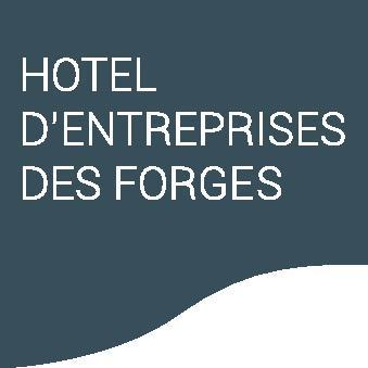 Logo Hotel Des Forges